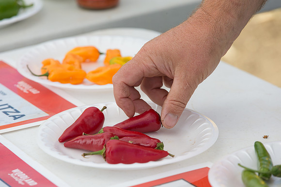 HotPeppers_FieldDays_Woodland_CA_0162