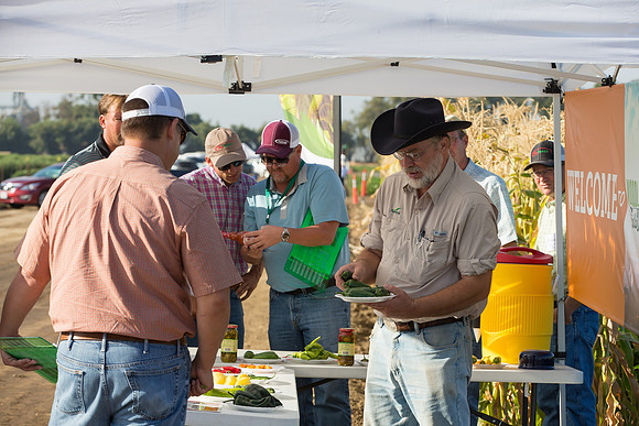 HotPeppers_FieldDays_Woodland_CA_0125