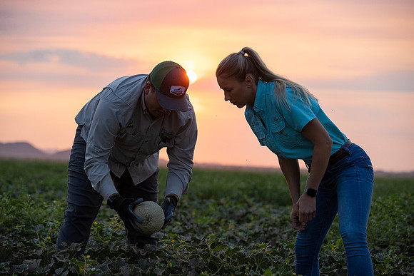 Seminis2021_AZ_103