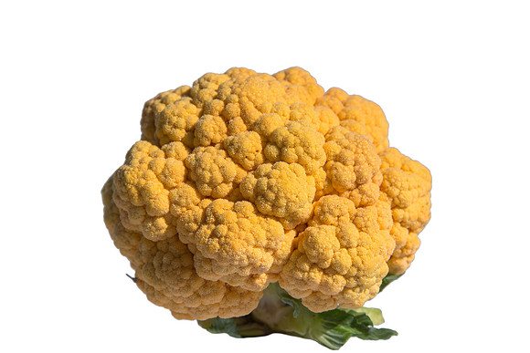 Cauliflower_Cheddar_CA_0021