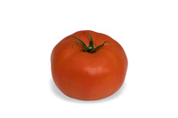 Tomatoes_DR2379TH_0010