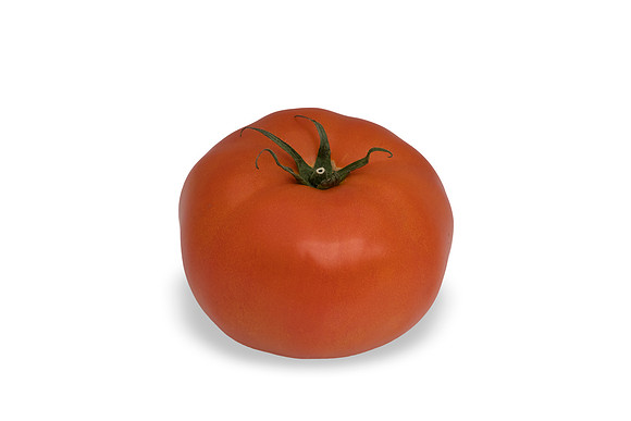 Tomatoes_DR2379TH_0010