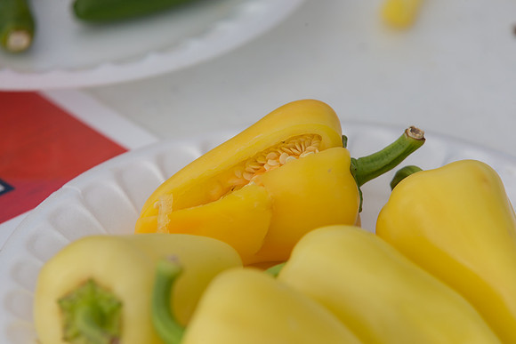 HotPeppers_FieldDays_Woodland_CA_0177
