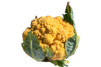 Cauliflower_Cheddar_CA_0016