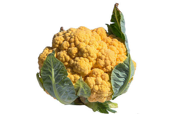 Cauliflower_Cheddar_CA_0016