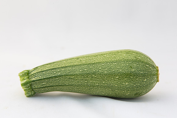 Squash_Terminator_MX_0035