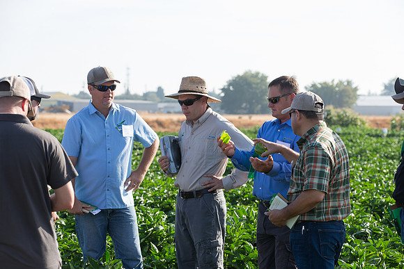 SweetPeppers_FieldDays_Woodland_CA_0139