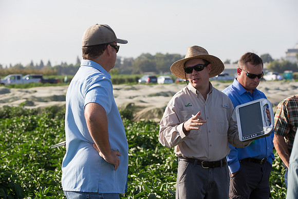 SweetPeppers_FieldDays_Woodland_CA_0121