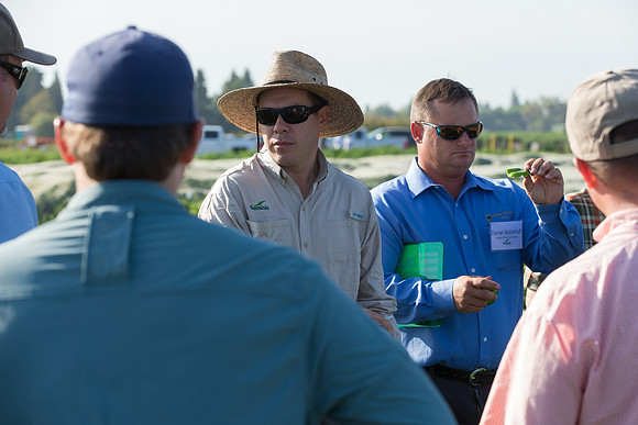 SweetPeppers_FieldDays_Woodland_CA_0102