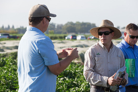 SweetPeppers_FieldDays_Woodland_CA_0119