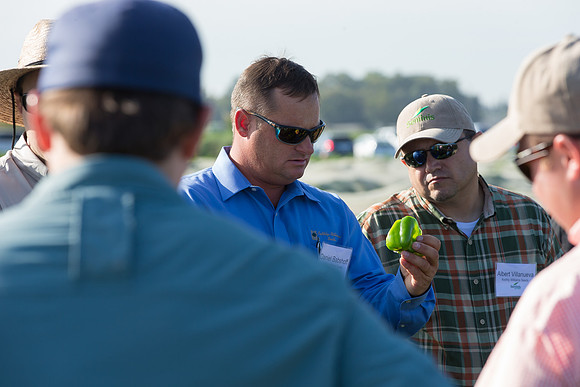 SweetPeppers_FieldDays_Woodland_CA_0107