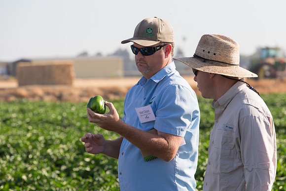 SweetPeppers_FieldDays_Woodland_CA_0074