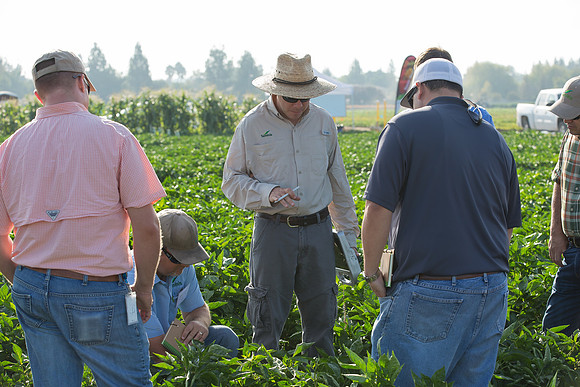 SweetPeppers_FieldDays_Woodland_CA_0130