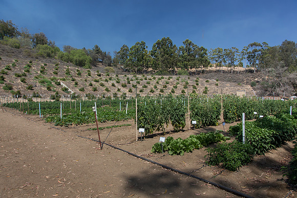 HomeGarden_FieldTrials_Camarillo_CA_0001