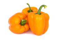 Peppers_Raptor_35