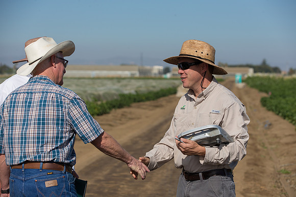 SweetPeppers_FieldDays_Woodland_CA_0190