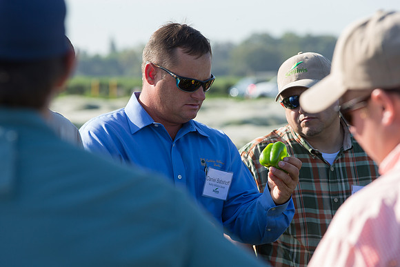 SweetPeppers_FieldDays_Woodland_CA_0110
