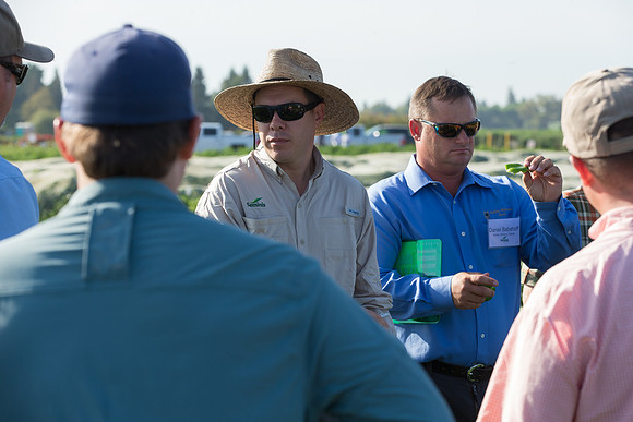 SweetPeppers_FieldDays_Woodland_CA_0103
