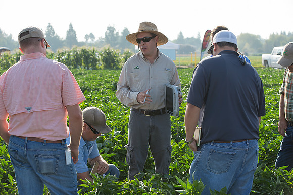 SweetPeppers_FieldDays_Woodland_CA_0133