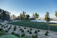 HomeGarden_FieldTrials_Camarillo_CA_0034