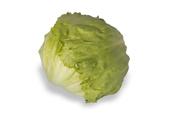 Lettuce_SureShot_CA_0058