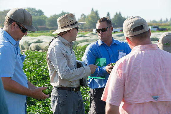 SweetPeppers_FieldDays_Woodland_CA_0090