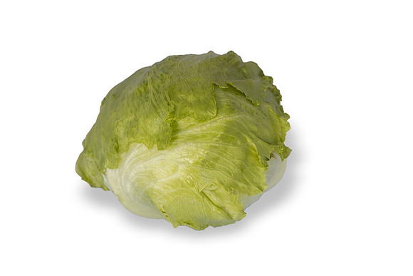 Lettuce_SureShot_CA_0062