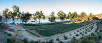 HomeGarden_FieldTrials_Camarillo_CA_0017-Pano