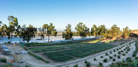 HomeGarden_FieldTrials_Camarillo_CA_0027-Pano