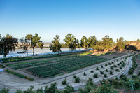 HomeGarden_FieldTrials_Camarillo_CA_0028