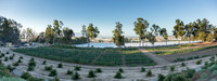 HomeGarden_FieldTrials_Camarillo_CA_0034-Pano-2