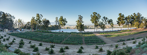HomeGarden_FieldTrials_Camarillo_CA_0034-Pano-2