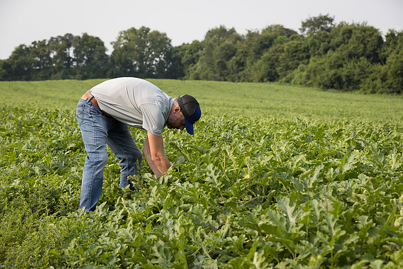 Semenis2021_FreyFarms_73