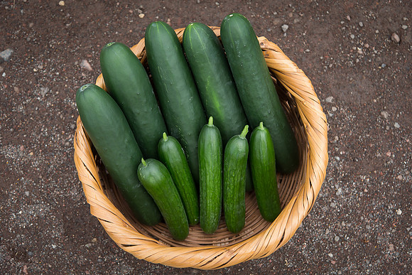 Cucumber_Jawell-SV2516CP_0007