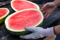 Semenis_7826_59