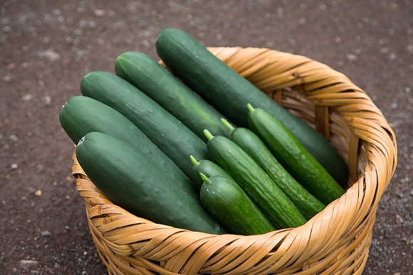 Cucumber_Jawell-SV2516CP_0011