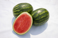Semenis_7826_72