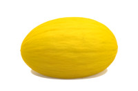Martori_Canary_6