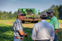 PicklingCucumber_Vlaspik_Harvest_MI_0063