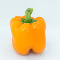 BellPepper_719_MX_0016