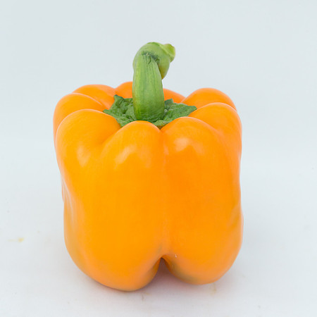 BellPepper_719_MX_0016