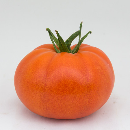 Tomato_DRW7834_MX_0075