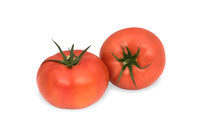 Tomatoes_DR3093TG_0011