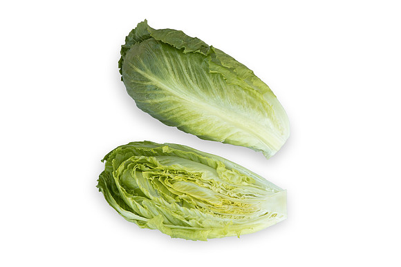 Lettuce_SV2867LG_CA_0183
