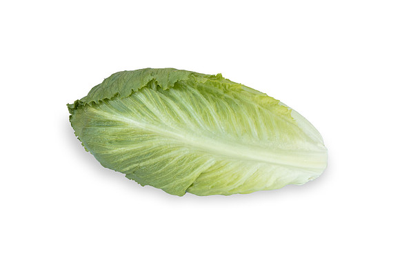 Lettuce_SV2867LG_CA_0163