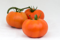 Tomato_DRW7834_MX_Group_0026