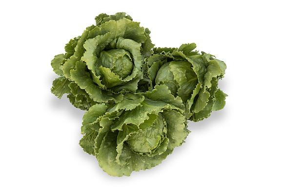 Lettuce_SV2867LG_CA_0122