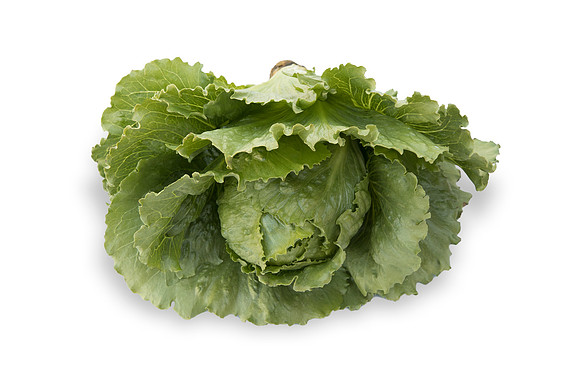 Lettuce_SV2867LG_CA_0103