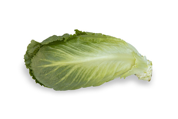 Lettuce_SV2867LG_CA_0147