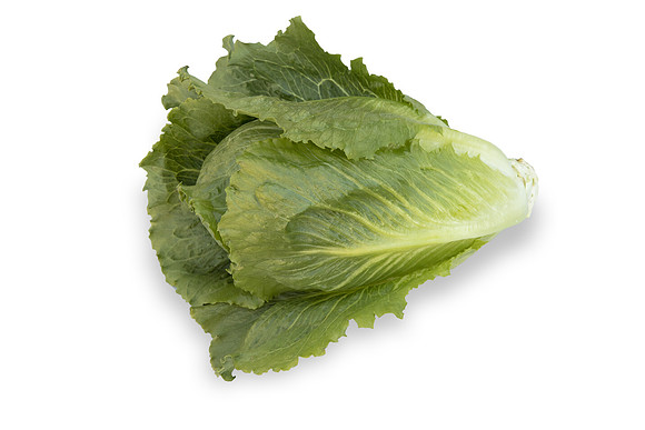 Lettuce_SV2867LG_CA_0133